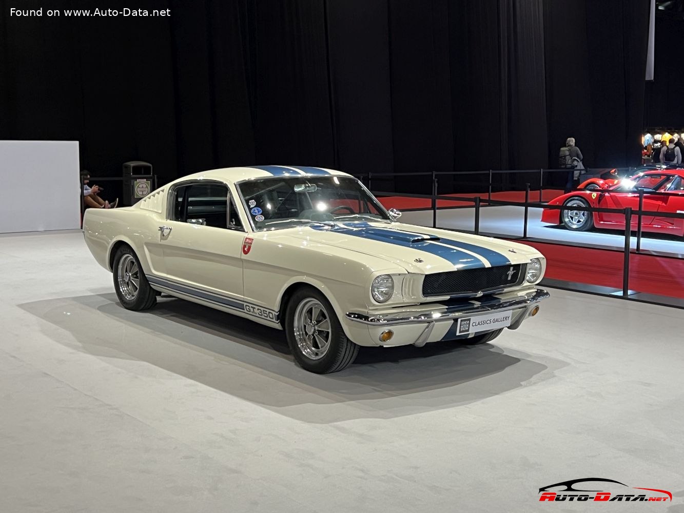shelby